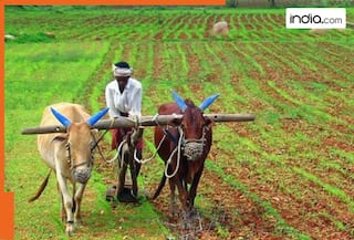 PM Kisan 20th installment BIG Update: 20th installment releasing in..., check who can get PM-KISAN benefits, how to apply as new farmer and other details