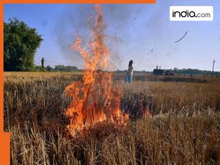 प्रदूषण के खिलाफ बड़ा एक्शन! किसानों ने अगर जलाई पराली तो होगी FIR; पकड़े जाने पर मिलेगी ये सजा