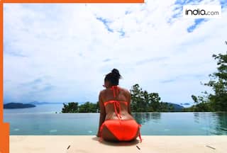 Meet actress who once called Indian men uncivilised, started acting career at age of 5, worked with Shah Rukh Khan, Akshay Kumar, Ayushmann Khurrana, but became a victim of...