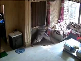 Viral Video: तीन ​बदमाशों से अकेले ही भिड़ गई महिला, नहीं होने दी डकैती, वीडियो देख लोग बोले- 'असली हीरो'