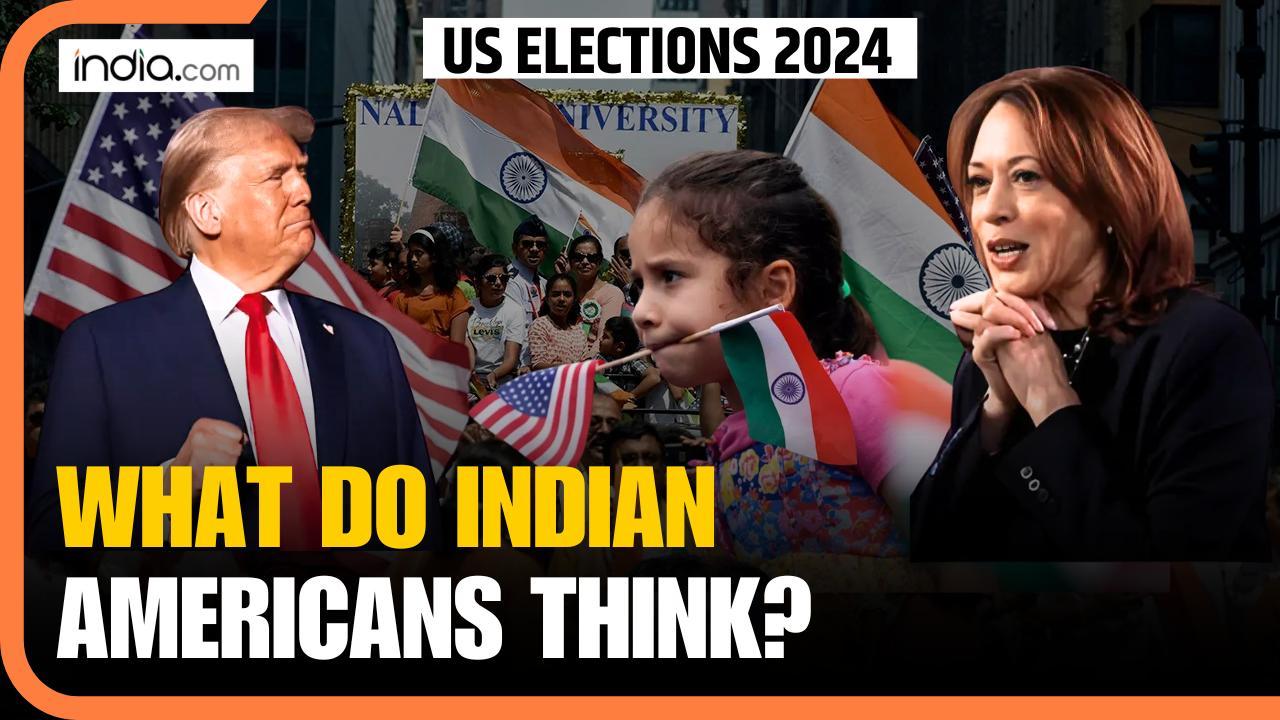 US Elections 2024: Indo-Americans Explain Why US Elections Matter | Trump vs Harris | US Polls