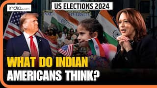 US Elections 2024: Indo-Americans Explain Why US Elections Matter | Trump vs Harris | US Polls