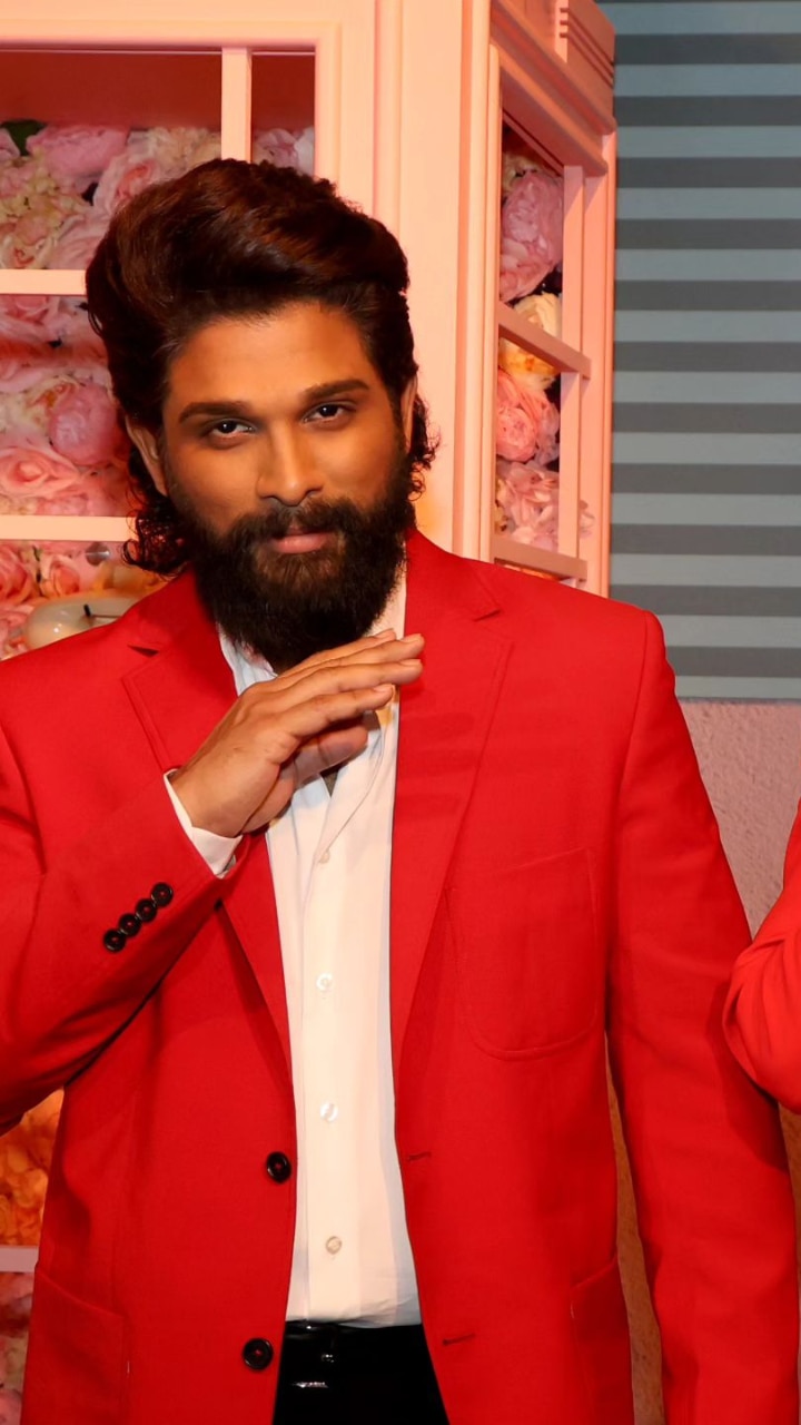 5 worst films of Allu Arjun