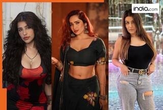 Bigg Boss 18 wild card contestants Edin Rose, Yamini Malhotra, Aditi Mistry   s net worth revealed, know who is richest?