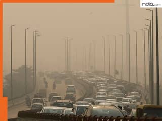 Delhi air pollution: दिल्ली में GRAP 4 जारी रहेगा या नहीं, सुप्रीम कोर्ट सोमवार को करेगा फैसला