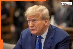 President-elect Donald Trump announces US envoys to NATO, Canada