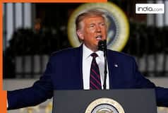 US Presidential Elections 2024: 'Everything Kamala says is lie, she has no vision, no ideas,' says Donald Trump