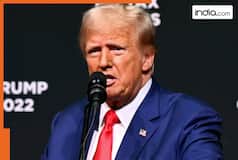 Trump victory may lead to stronger dollar, but RBI's focus will remain on domestic factors: Report