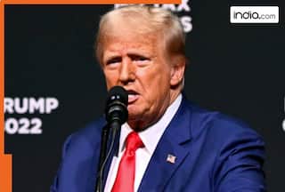 Trump picks Cantor Fitzgerald CEO Howard Lutnick as commerce secretary