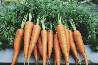 Why Eating Carrots In Winter Is Essential For Your Health