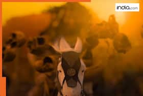 india.com top news