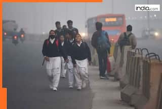 Delhi-NCR Air Pollution: Schools, offices to reopen in Delhi today? Check other cities status here