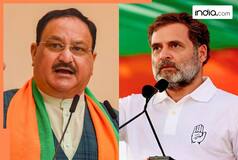Assembly elections: Campaigning in Maharashtra and Jharkhand ends, voting scheduled for November 20