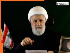 'Will stop if...': Hezbollah's new chief willing to end war with Israel but....