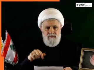 'Will stop if...': Hezbollah's new chief willing to end war with Israel but....