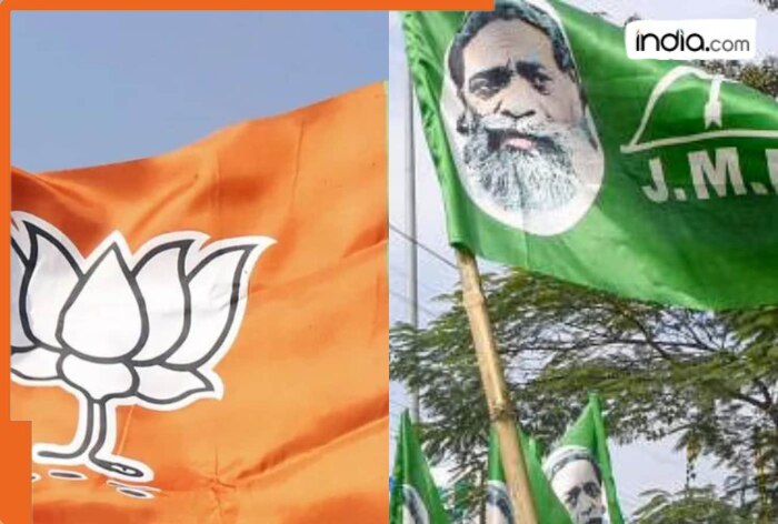 Jharkhand Assembly Election Winner list: Check part-wise winners from BJP and JMM