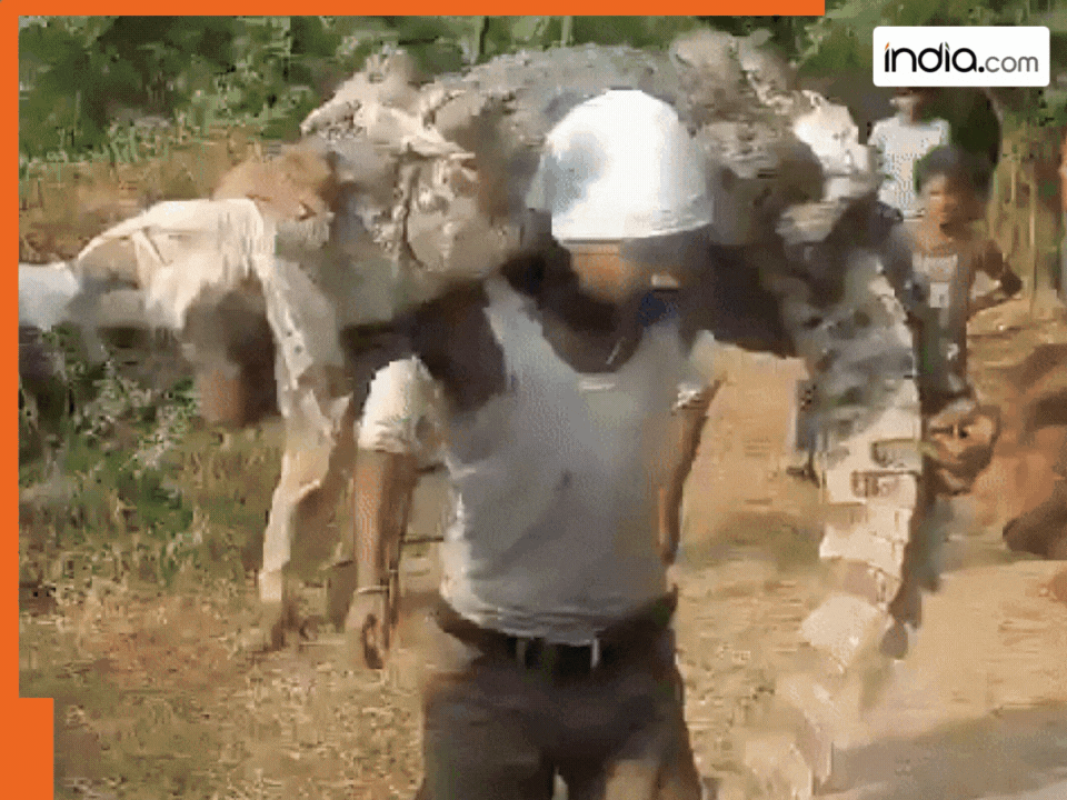 Magarmach Ka Video: जिंदा मगरमच्छ कंधे पर लादकर चल पड़ा 'बाहुबली', बंदे की हिम्मत ने उड़ा दिए होश | देखें वीडियो