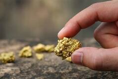 1,000 metric tons: World's largest gold reserve worth Rs 7020084207400 discovered in...