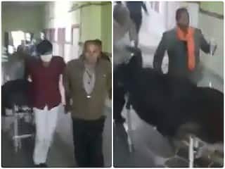 Viral Video: डॉक्टरों ने मरीज को किया मृत घोषित, मगर चिता पर लेटाते ही आ गई जान | देखें शॉकिंग वीडियो