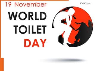 World Toilet Day 2024: खुले में शौच से हो सकती हैं ये 4 जानलेवा बीमारियां, जानें टॉयलेट साफ रखने के तरीके
