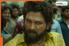 Pushparaj to roar in theatres before Pushpa 2 release, filmmakers take BIG decision