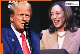 Trump vs Harris? Who Will Win US Election 2024? Google's Gemini and ChatGPT Makes Stunning Predictions- Details Inside