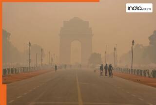 GRAP-IV imposed in Delhi, entry of trucks, operations of some vehicles banned