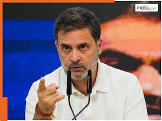 राहुल गांधी के लिए अभी मुश्किल है राह, महाराष्ट्र-झारखंड चुनाव नतीजों से क्या मिला सबक?