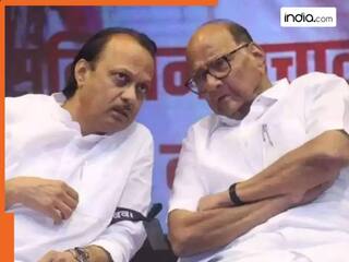 'अपने पैरों पर खड़ा होने सीखें' : SC ने अजित पवार की NCP को दिया झटका, कहा- नहीं इस्तेमाल कर सकते शरद पवार की फोटो