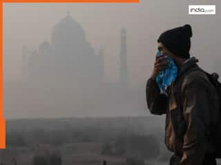 प्रदूषण से बढ़ी अस्थमा के मरीजों की परेशानी, सांस की बीमारी से बचने के लिए डाइट में शामिल करें ये 5 चीजें