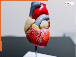 पुरुषों में हार्ट डिजीज की संभावना को बढ़ा सकता है इंसुलिन रेजिस्टेंस : Research