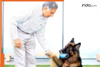 Ratan Tata's pet dog Tito named in his Rs 10,000 crore will, Know what pets can legally inherit from their owners in India