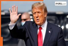 Trump's bold foreign policy: Lasting peace, or instability?