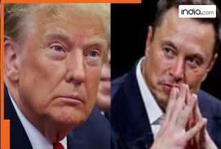 Elon Musk to buy McDonald's and CNN after Trump   s win in US Presidential polls; Know the truth behind claims here