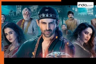 Bhool Bhulaiyaa 3 BOC day 1: Kartik, Madhuri & Vidya's horror-comedy witnesses decent opening numbers, film earns...