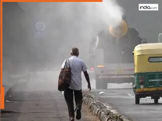 दिल्ली का AQI 500 पार, फेफड़ों को काला होने से बचाने के लिए अपनाएं ये आयुर्वेदिक उपाय