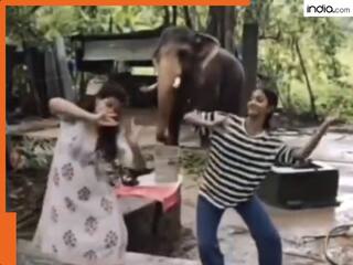 Viral Video: झूमते हाथी के इस वीडियो को लेकर सोशल मीडिया पर छिड़ी है बहस, जानें क्या है मामला