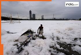 india.com top news