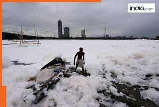 india.com top news