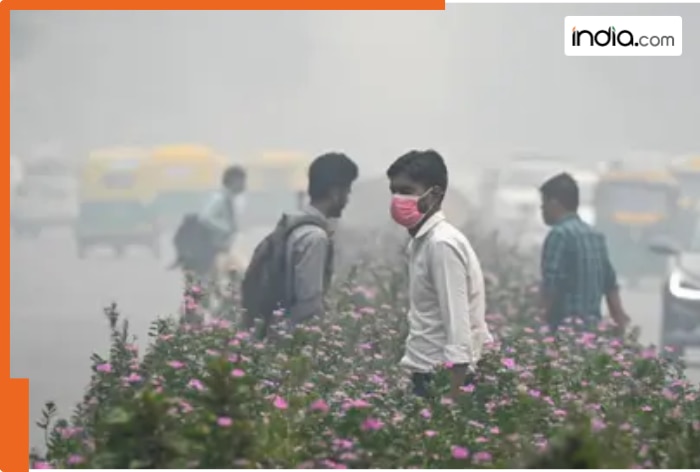 Govt offices switch to work-from-home for 50 percent employees, schools closed due to..., CM Atishi says...
