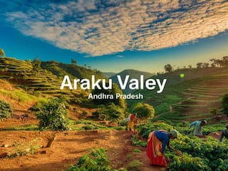 Experience Sustainable Travel With Top Eco-Friendly Sites In Araku Valley