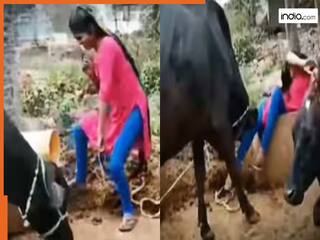 Ladki Ka Video: भैंस को चारा खिलाकर वहीं नाचने लगी लड़की, ऐसा पटका दोबारा उठ ना पाई बेचारी | देखें वीडियो