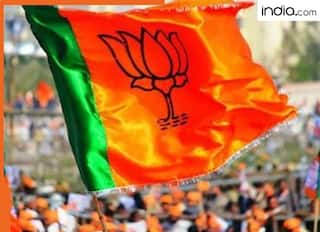 'बिहार उपचुनाव में एनडीए की बड़ी जीत 2025 विधानसभा चुनाव का ट्रेलर'