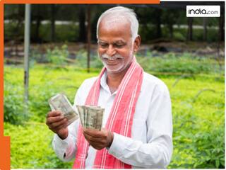 BIG boost to farmers: Groundnut, moong, urad and soybean crops to be sold at MSP in THIS state, register now at e-Samruddhi portal; Details