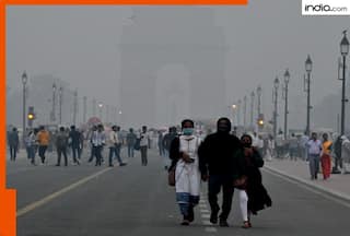 Delhi weather update: Minimum temperature to hit 10  C, light fog expected today; AQI still concerning