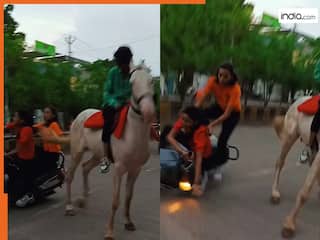 Scooty Girl Ka Video: घोड़े की रडार पर आ गई स्कूटी सवार लड़कियां, ऐसी किक मारी सड़क पर ही चित हो गईं | देखें वीडियो