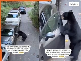 Bhalu Ka Video: सड़क किनारे खड़ी कार को खोलकर भालू ने किया कुछ ऐसा जो आपकी सोच से है परे, सोशल मीडिया पर लोग दंग | देखें वीडियो