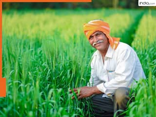 इस राज्य के किसानों को मुफ्त बीज दे रही सरकार, जानिये कैसे करना होगा आवेदन- यहां है पूरी डिटेल