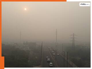 दुनिया के सबसे प्रदूषित शहर में 3 साल की मासूम ने सरकार के खिलाफ उठाई अपनी आवाज, पहुंची कोर्ट