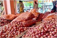 Onions set to get cheaper in northern India, including Delhi-NCR; prices to drop in...